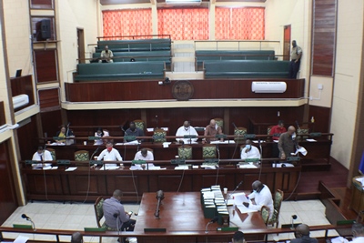 Special Sitting of the House of Representatives 3-8-20 - National ...